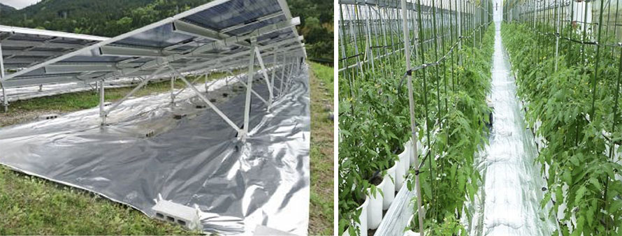 aluminum reflective anti-gross cloth aluminum reflective anti-gross cloth