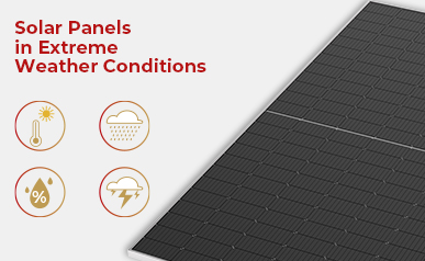 Từ hạt mưa đến tia: Khám phá cách các tấm pin mặt trời thích ứng với thời tiết luôn thay đổi